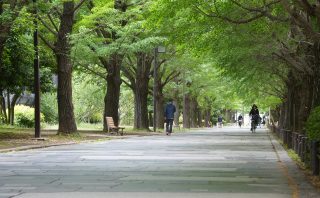 聖地巡礼 聖地巡礼】『綺麗事/星街すいせい』 in 光が丘 | 巡礼とページの旅